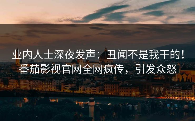 业内人士深夜发声：丑闻不是我干的！番茄影视官网全网疯传，引发众怒