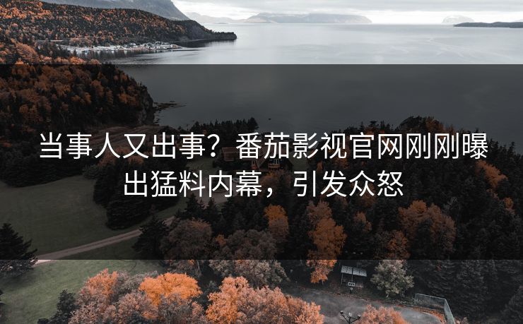 当事人又出事？番茄影视官网刚刚曝出猛料内幕，引发众怒