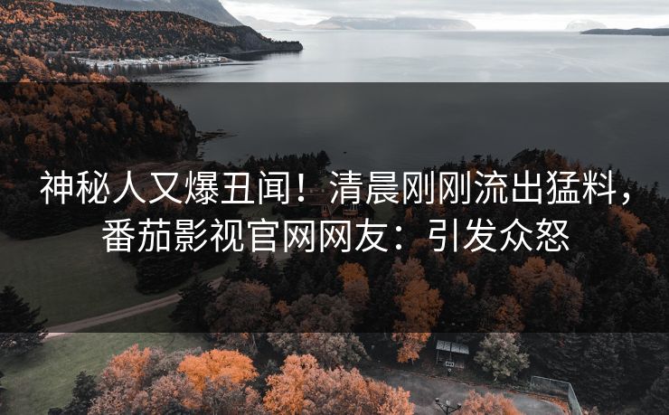 神秘人又爆丑闻！清晨刚刚流出猛料，番茄影视官网网友：引发众怒